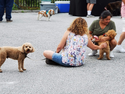 Wine Store «Wine Bin», reviews and photos, 8390 Main St #1, Ellicott City, MD 21043, USA