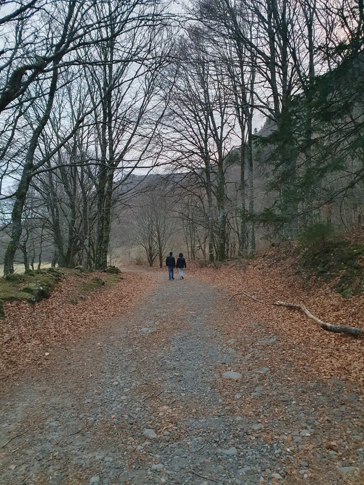 Photo n° 2 de l'avis de VRINAT.i fait le 03/03/2024 à 14:29