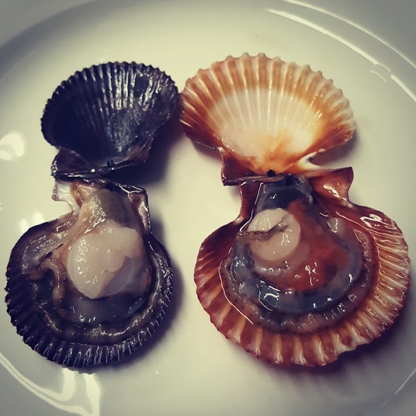 Imagen de RESTAURANTE MINI (15 de 23)