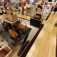 Dillard's - Photo 7 - Car repair in Gilbert, AZ, San Tan Valley