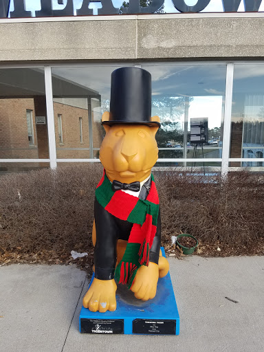 Performing Arts Theater «Meadow Brook Theatre», reviews and photos, 378 Meadow Brook Rd, Rochester, MI 48309, USA