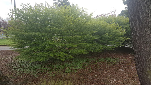 Public Golf Course «Riverbend Golf Complex», reviews and photos, 2019 W Meeker St, Kent, WA 98032, USA