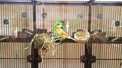 Pet Supply Store «PetSmart», reviews and photos, 11200 Fountains Way, Maple Grove, MN 55369, USA