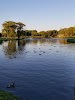 Homerding Park
