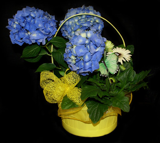 Event Planner «Savoir-Faire Event Planning», reviews and photos, 2309 W Market St, Akron, OH 44313, USA