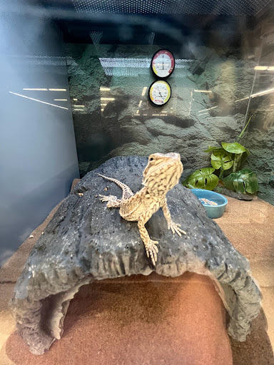 Pet Supply Store «Petco Animal Supplies», reviews and photos, 710 W 66th St, Richfield, MN 55423, USA