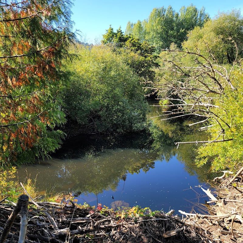 Marys River Park