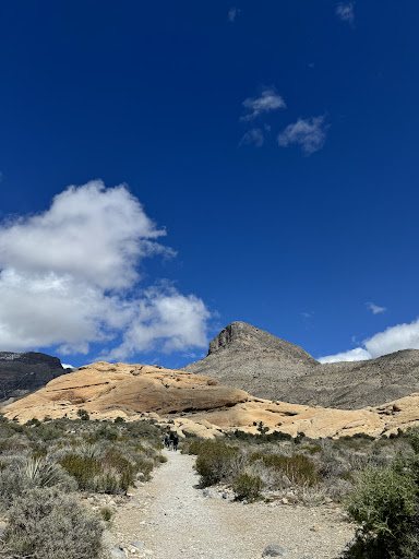 Turtlehead Peak Trailhead