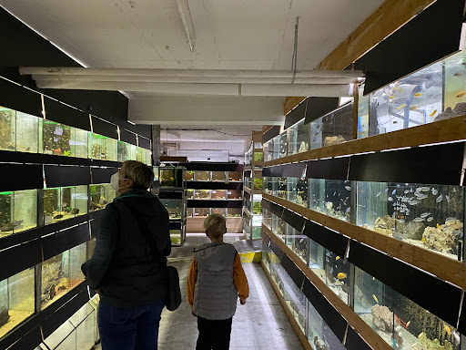 Aquaristik & Animal World unter Cologne, 