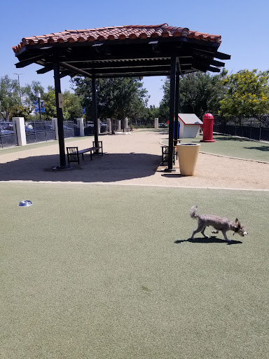 Town Center Dog Park