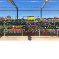 Walmart Supercenter - Photo 6 - Car repair in Little Rock, AR, Little Rock