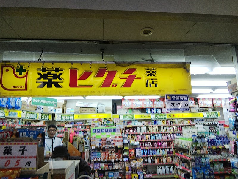 薬ヒグチ 萱島駅店