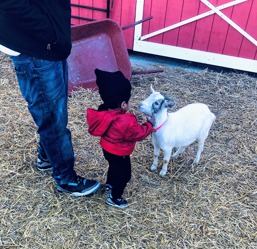 Stadium «Toyota Park», reviews and photos, 7000 Harlem Ave, Bridgeview, IL 60455, USA
