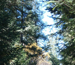 San Nicolás Totolapan Ejido Park photo