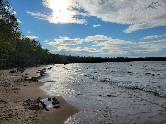 Awenda Pet Beach Area