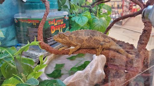 Pet Supply Store «Petco Animal Supplies», reviews and photos, 753 53rd Ave NE, Fridley, MN 55421, USA