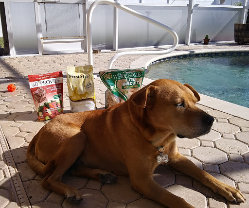 Pet Supply Store «The Beach Dog», reviews and photos, 3512 Del Prado Blvd, Cape Coral, FL 33904, USA