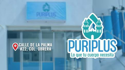 Puriplus Jerez