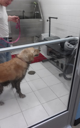 Pet Supply Store «Purely Pets», reviews and photos, 13723 23 Mile Rd, Shelby Charter Township, MI 48315, USA