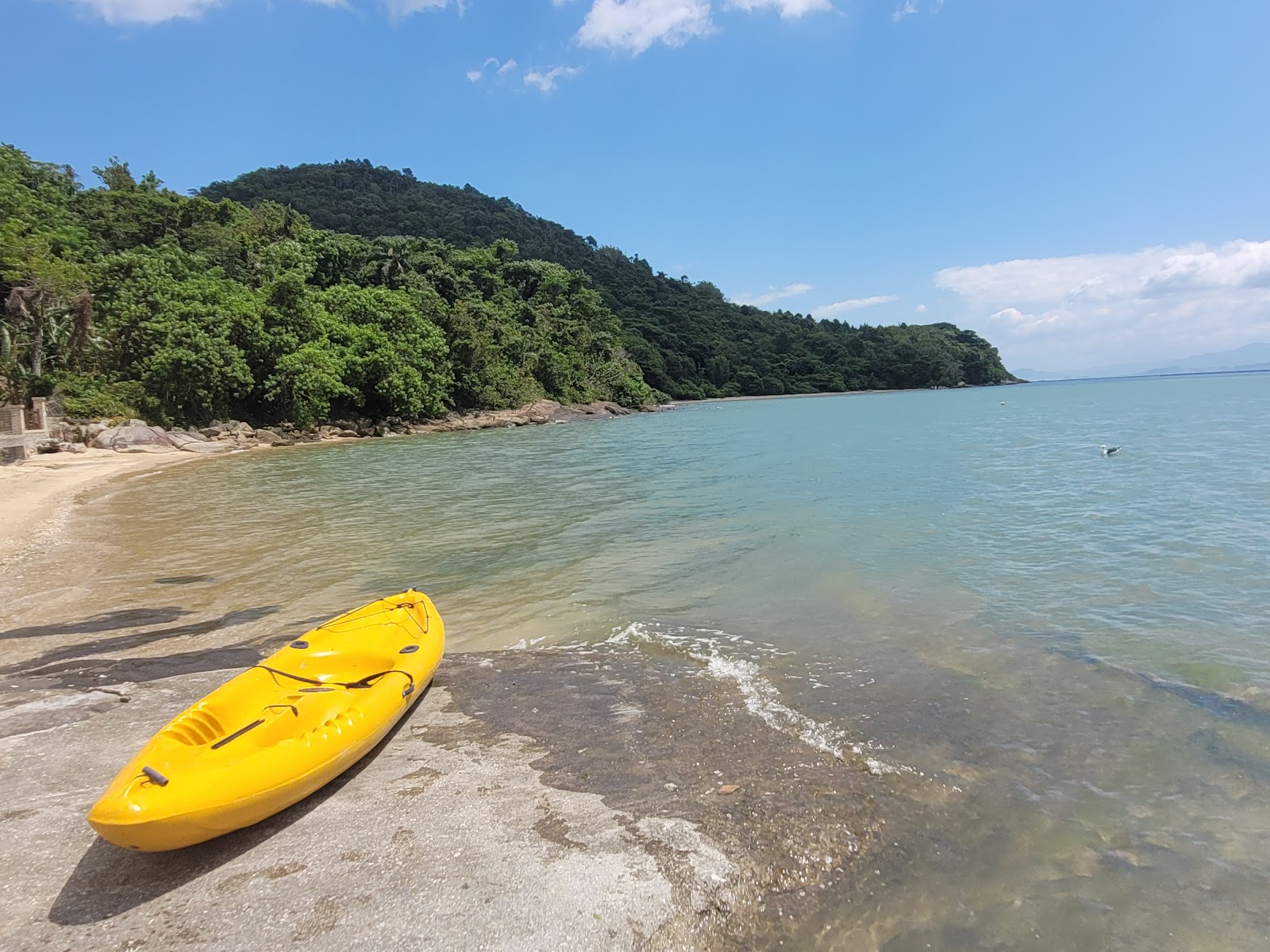 Foto de Praia do Cedro área selvagem