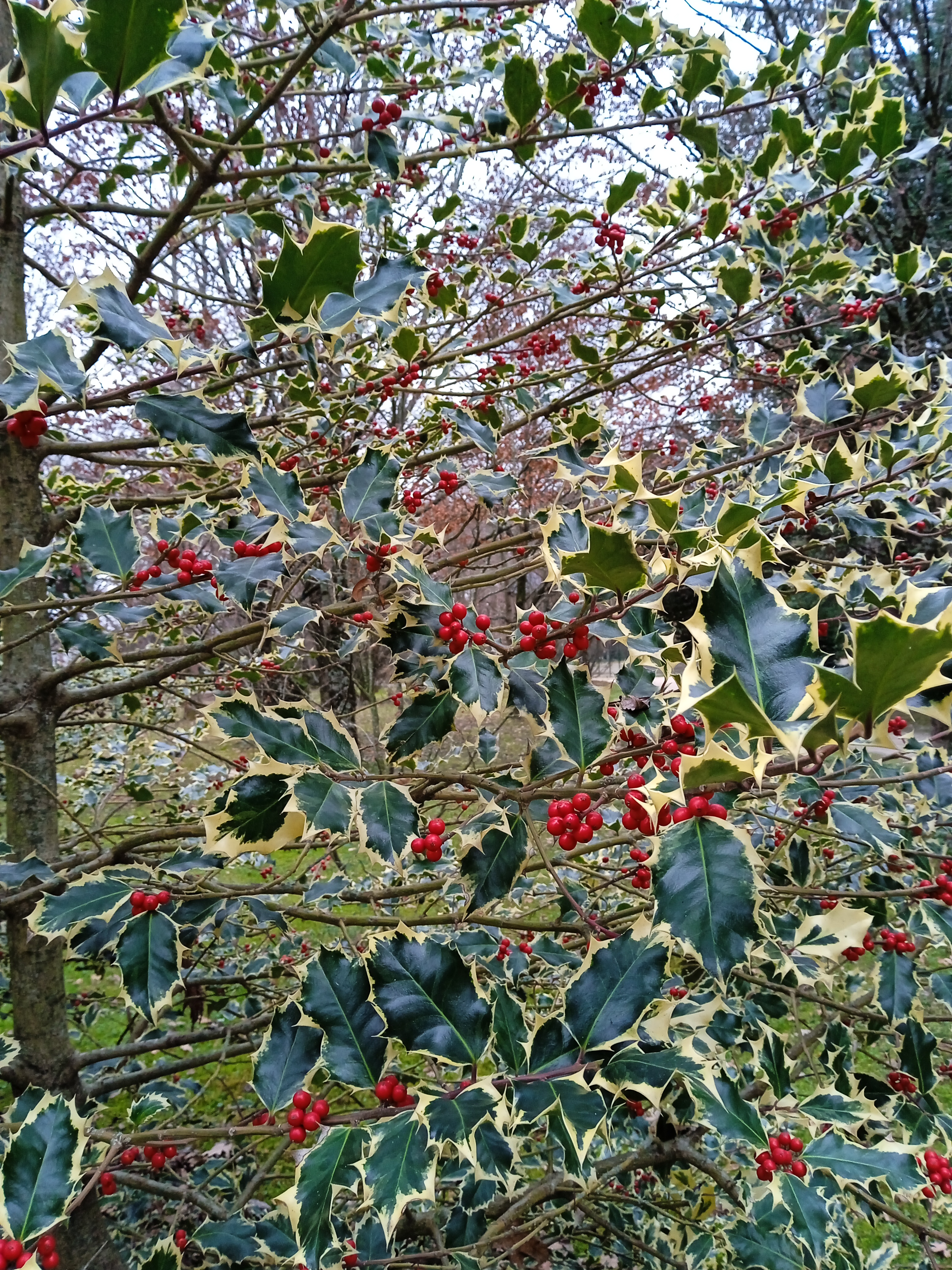 Photo n° 10 de l'avis de Didier.H fait le 16/11/2019 à 22:58