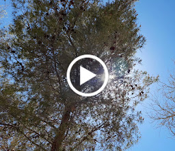 Parque Fraccionamiento Paula photo