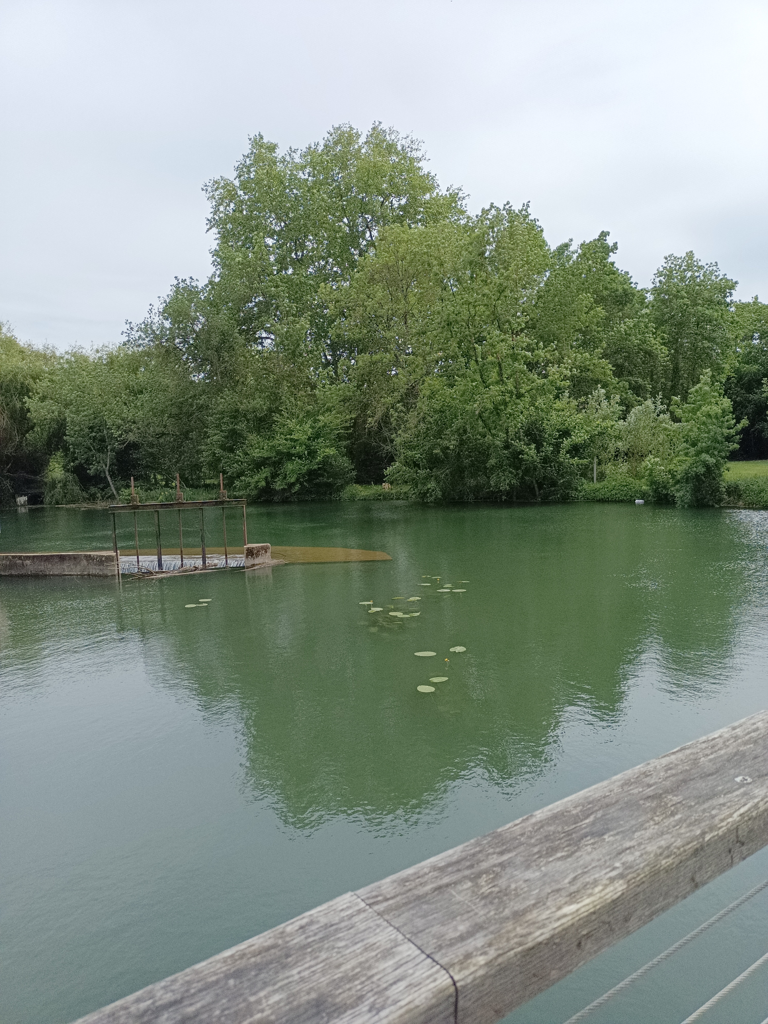 Photo n° 10 de l'avis de sandrine.a fait le 18/05/2023 à 21:16