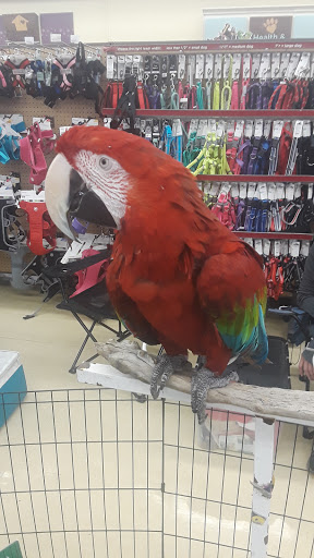 Pet Supply Store «Petco Animal Supplies», reviews and photos, 3637 2700 W, West Valley City, UT 84119, USA