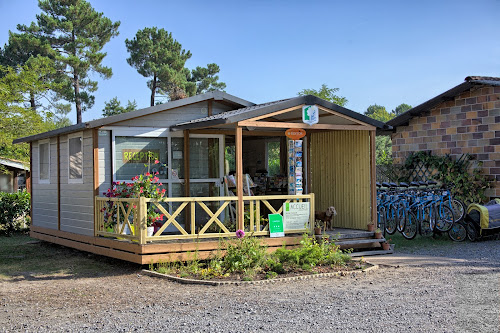 Camping Camping l'Orée du Bois | Hourtin | Gironde Hourtin