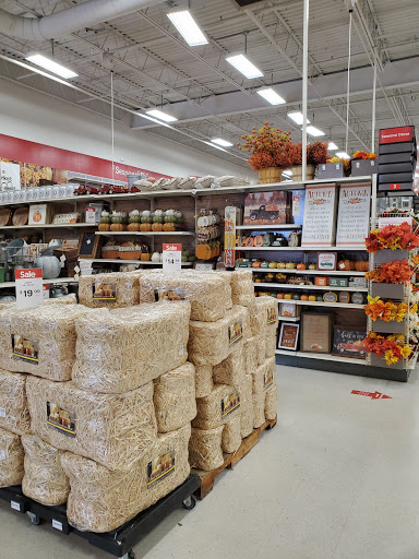 Craft Store «Michaels», reviews and photos, 18 Watertower Plaza, Leominster, MA 01453, USA