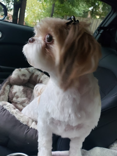 Pet Groomer «U Dirty Dog», reviews and photos, 232 Stevens Entry, Peachtree City, GA 30269, USA