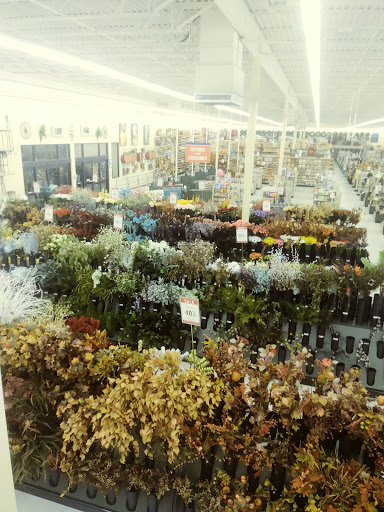 Craft Store «Hobby Lobby», reviews and photos, 16401 County Rd 30, Maple Grove, MN 55311, USA
