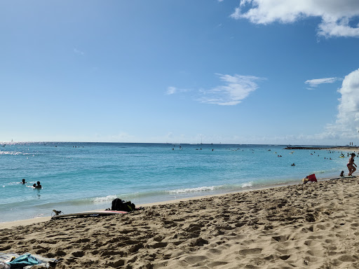 The Beach Bar