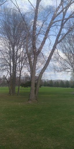 Golf Course «Cheshire Hills Golf Course», reviews and photos, 3829 102nd Ave, Allegan, MI 49010, USA