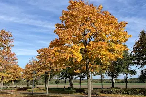 Sportplatz Overberge image