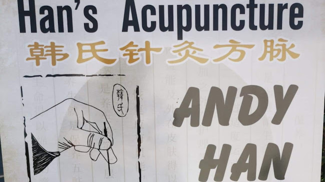 Han's Acupuncture