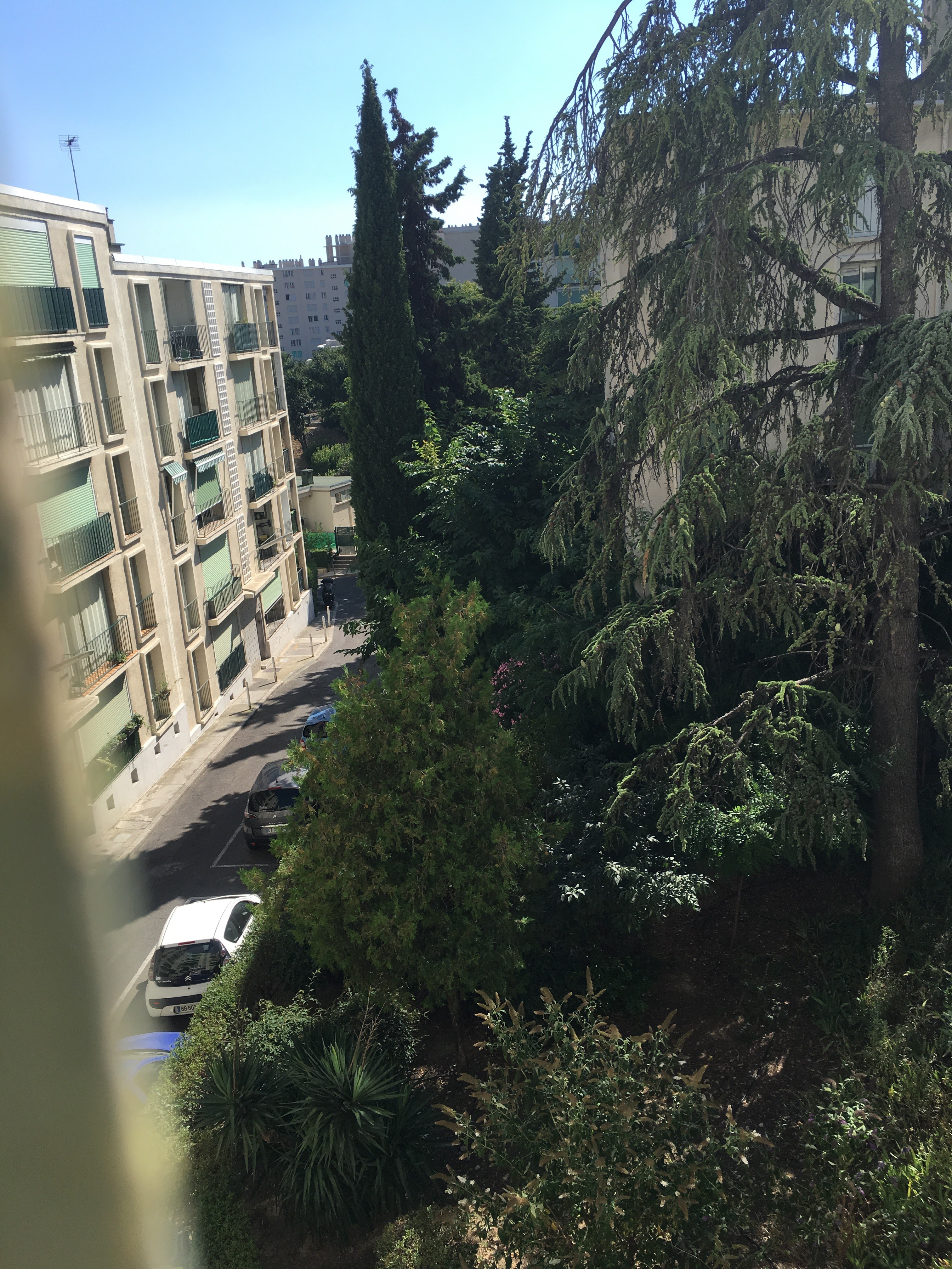Photo n° 1 de l'avis de Cassandre.O fait le 06/07/2018 à 14:55