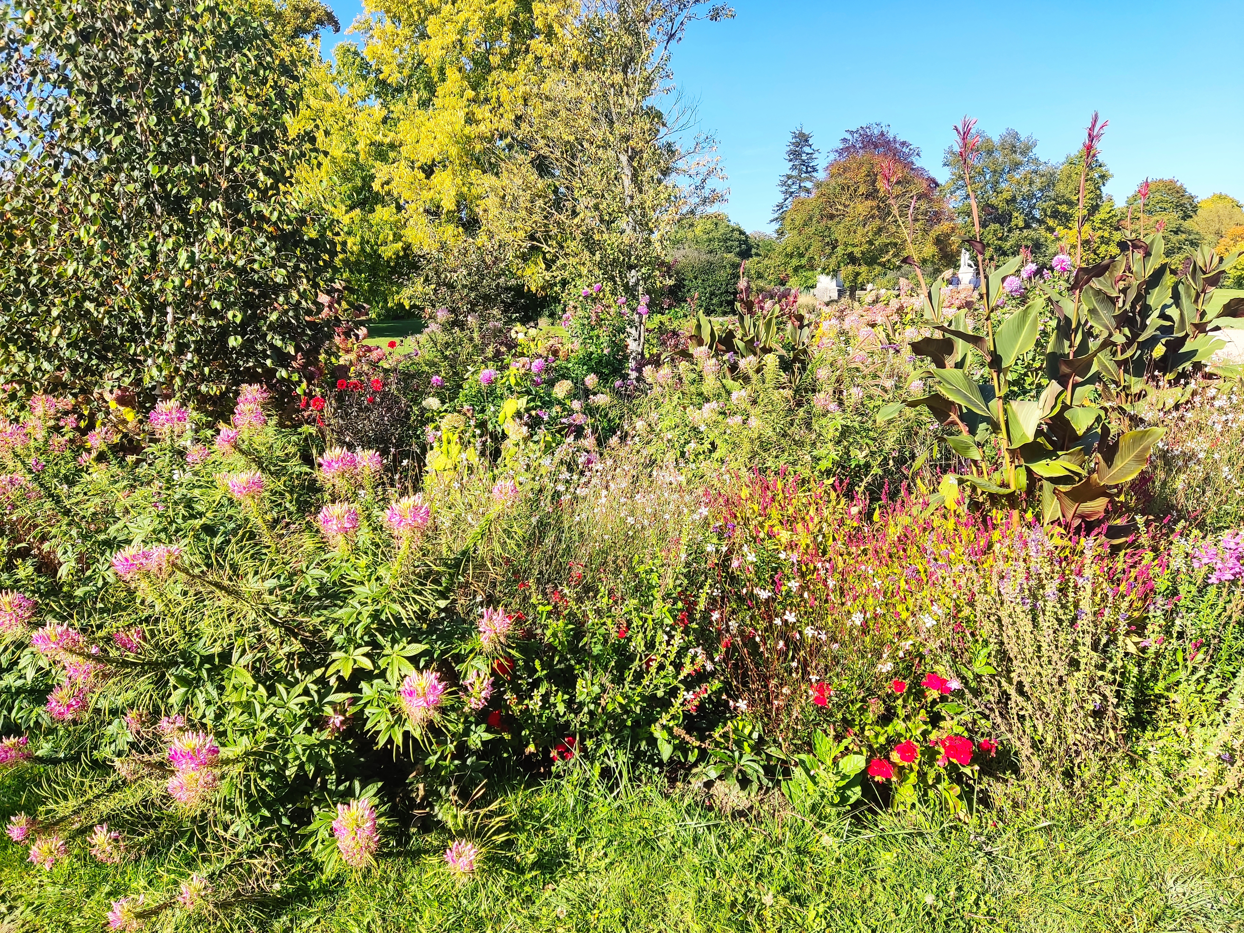 Photo n° 7 de l'avis de Mikkonen.e fait le 19/10/2021 à 08:24