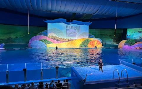 St. Vincent Dolphin Pavilion image