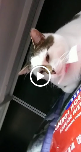 Pet Supply Store «EarthWise Pet Supply», reviews and photos, 11328 Montgomery Rd, Cincinnati, OH 45249, USA