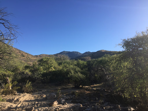 Papago Springs Trailhead