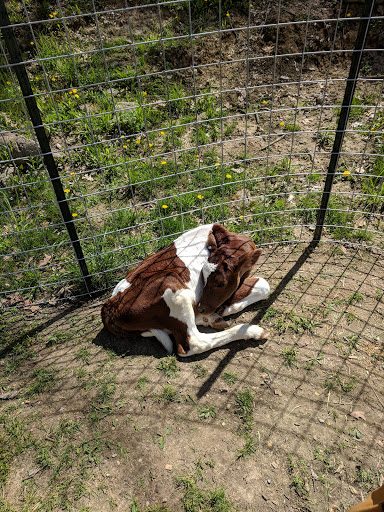 Park «Bever Park», reviews and photos, 2700 Bever Ave SE, Cedar Rapids, IA 52403, USA