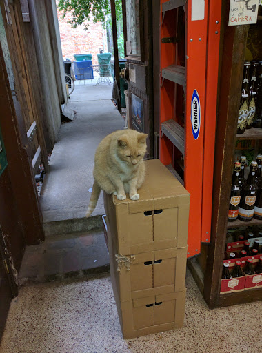 Italian Grocery Store «Central Grocery and Deli», reviews and photos, 923 Decatur St, New Orleans, LA 70116, USA