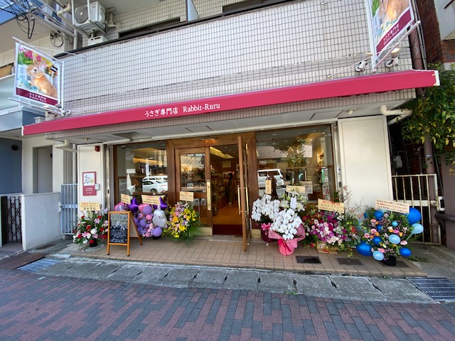 うさぎ専門店Rabbit-Ruru神戸六甲道店