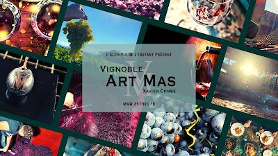 Vignoble Art Mas à Visan