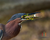 Mark O'Loughlen Photography - Photo 7 - Car repair in , Sioux Falls