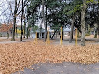 森の広場