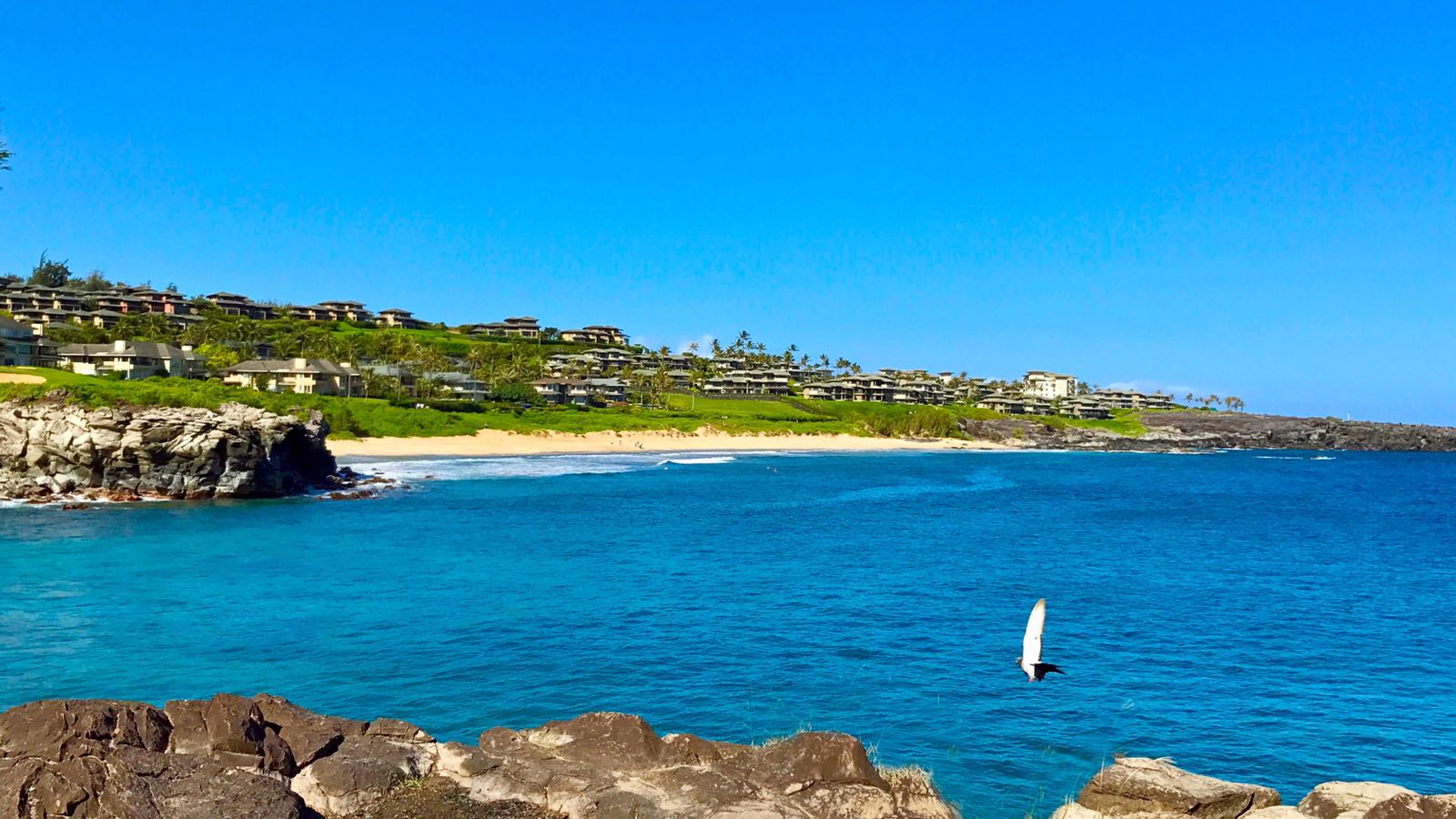 Oneloa Beach photo #8