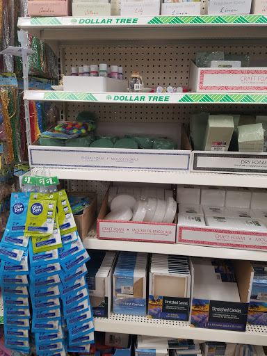 Dollar Store «Dollar Tree», reviews and photos, 8653 Columbus Pike, Lewis Center, OH 43035, USA