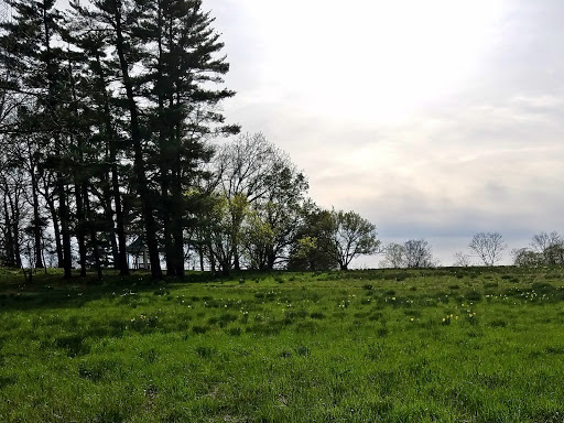 Nature Preserve «Shaw Nature Reserve», reviews and photos, 307 Pinetum Loop Rd, Gray Summit, MO 63039, USA